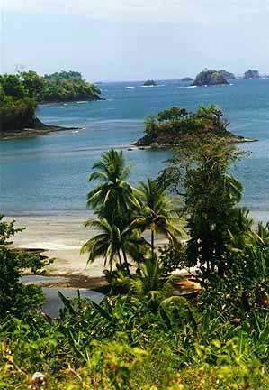 Safe Harbor Overview