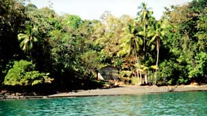 Black sand beach on northeast area of property