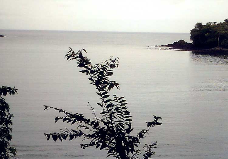 Cliff View of the Channel to Sea